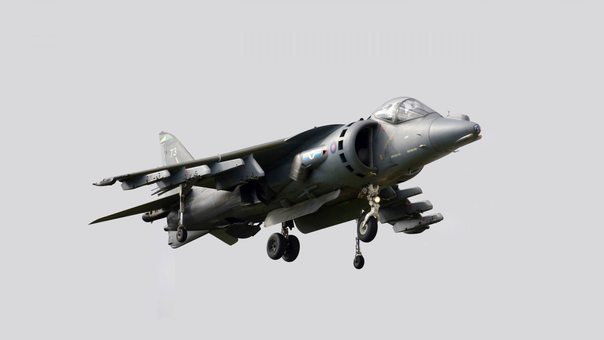 乐鱼(LEYU)体育-NBA联盟青训体系与国际合作发展,nba青年队