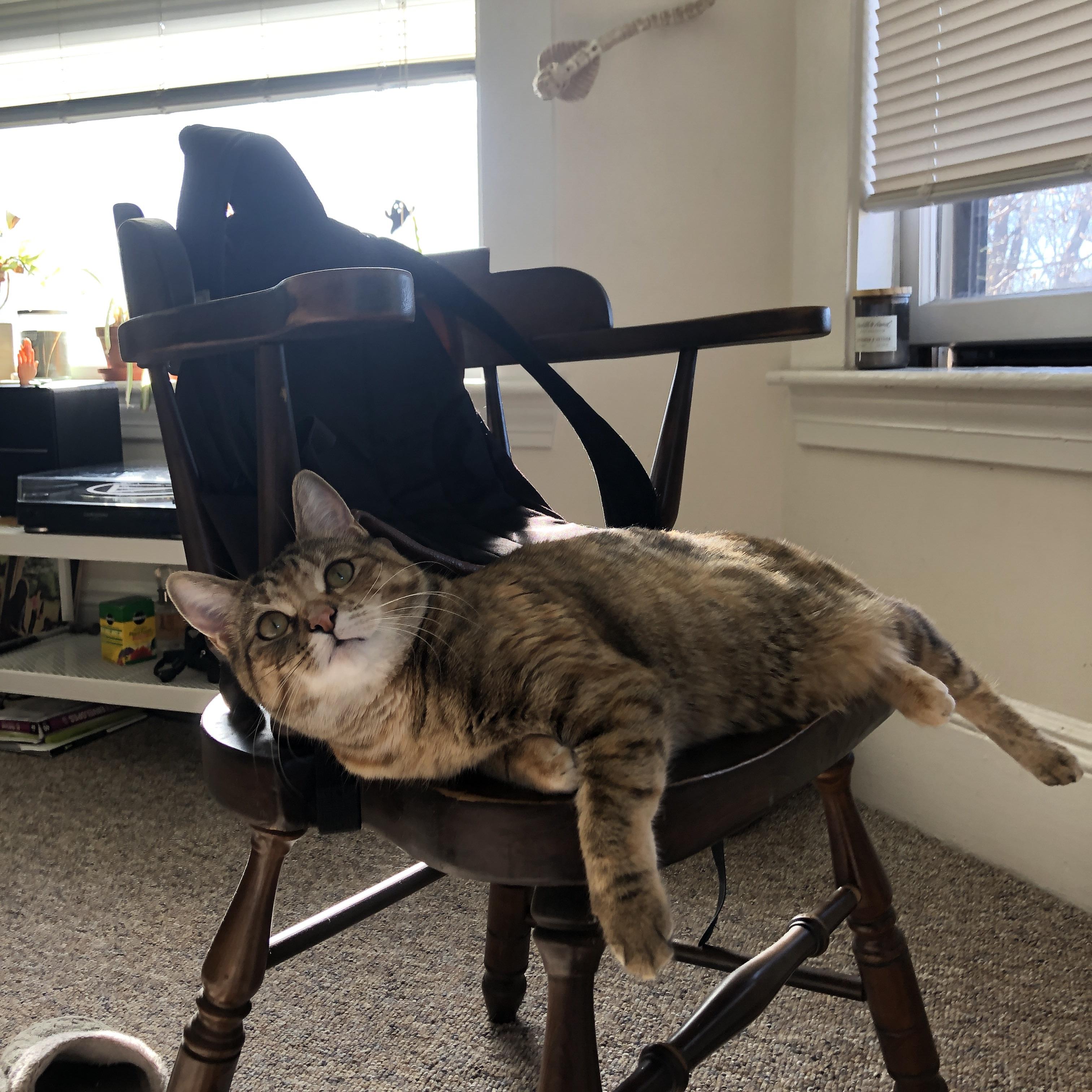 乐鱼官方登录入口-中国足球多回合对抗中的体能表现模型,足球身体对抗规则